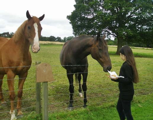 2009-01-18 23-13-03 (3).jpg