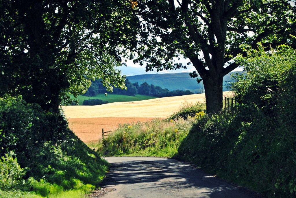 “Me gusta viajar, pero también me gusta volver” Pitcairlie |&nbsp;Escocia