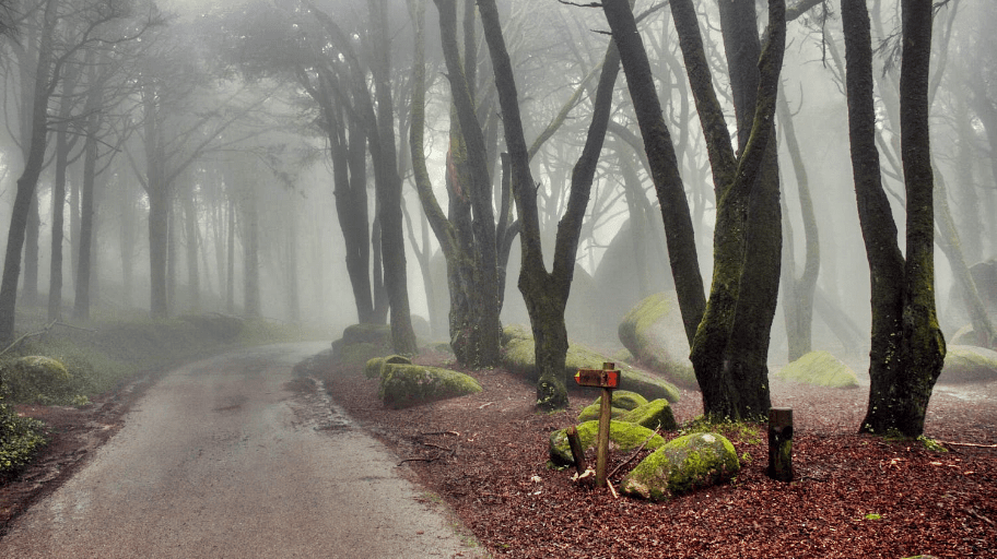 Sintra, un lugar de cuento | Portugal