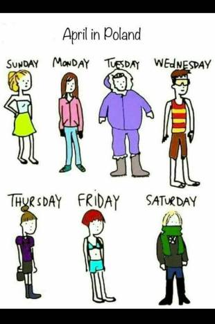 18195594_10211792615204462_2026937491_o