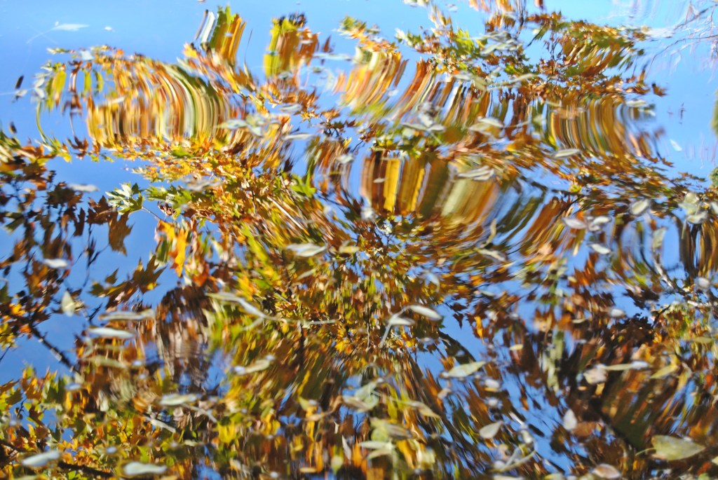 ¿Viajar para salir de tu zona de confort? | Patricia&nbsp;Álvaro