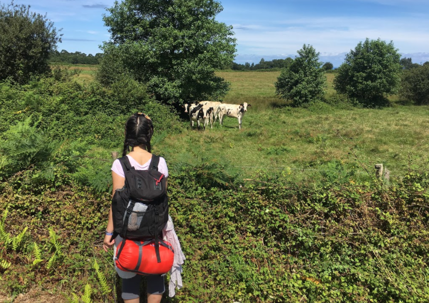 Hola, sigo aquí | Patricia&nbsp;Álvaro